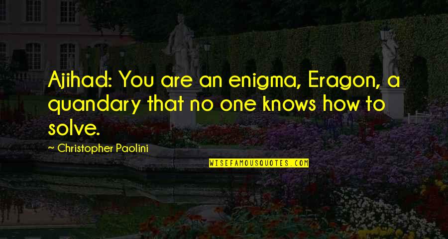 Don't Stress Over Things You Can't Change Quotes By Christopher Paolini: Ajihad: You are an enigma, Eragon, a quandary