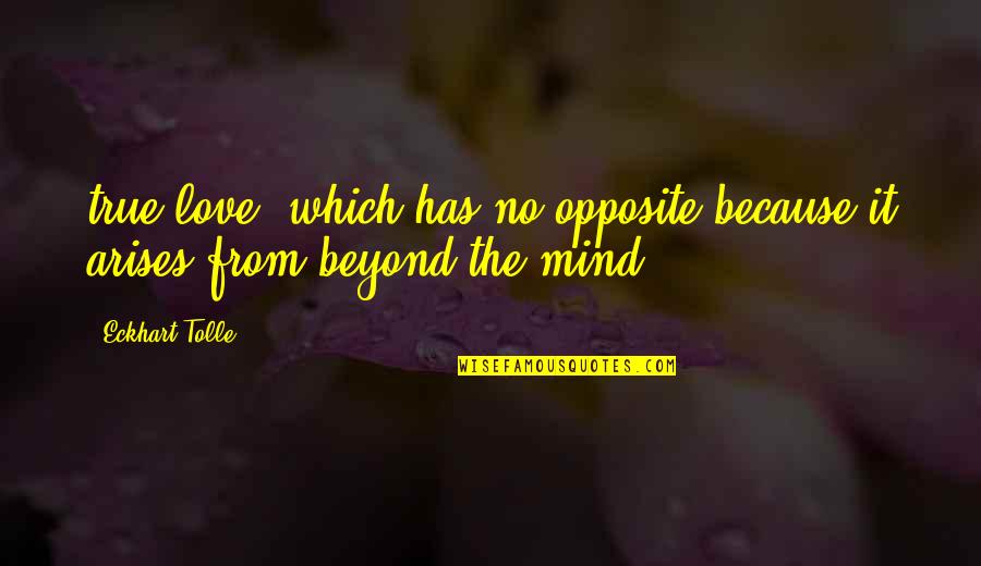 Don't Stress Over Things You Can't Change Quotes By Eckhart Tolle: true love, which has no opposite because it