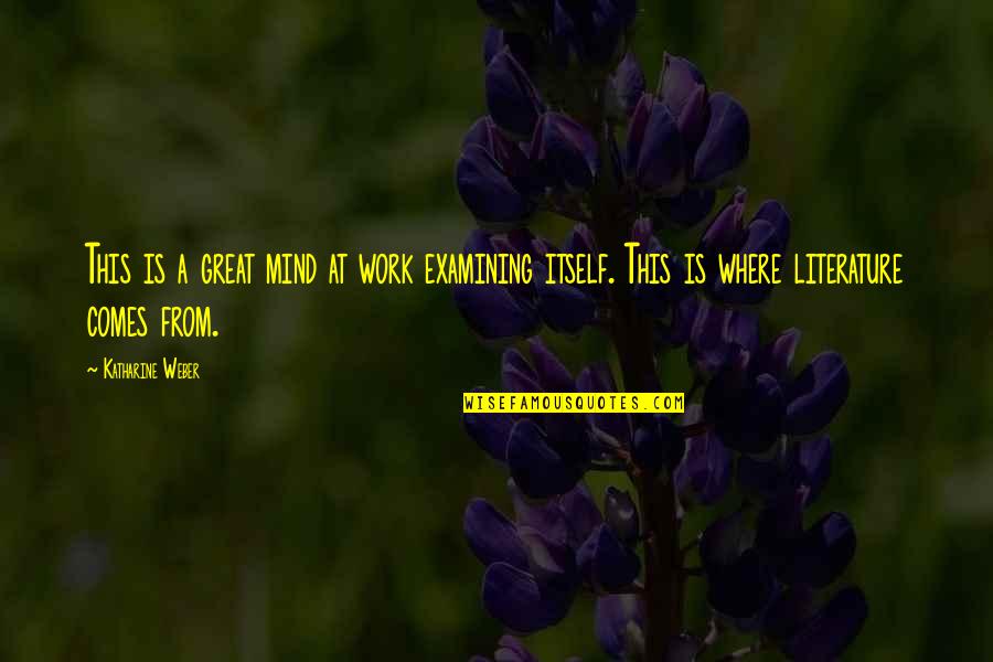Dont Take A Girl For Granted Quotes By Katharine Weber: This is a great mind at work examining Dont Take A Girl For Granted Quotes By Katharine Weber: This is a great mind at work examining