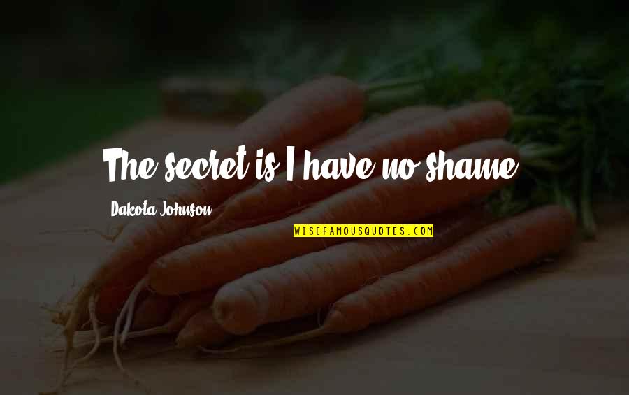 Don't Talk About Politics And Religion Quotes By Dakota Johnson: The secret is I have no shame. Don't Talk About Politics And Religion Quotes By Dakota Johnson: The secret is I have no shame.