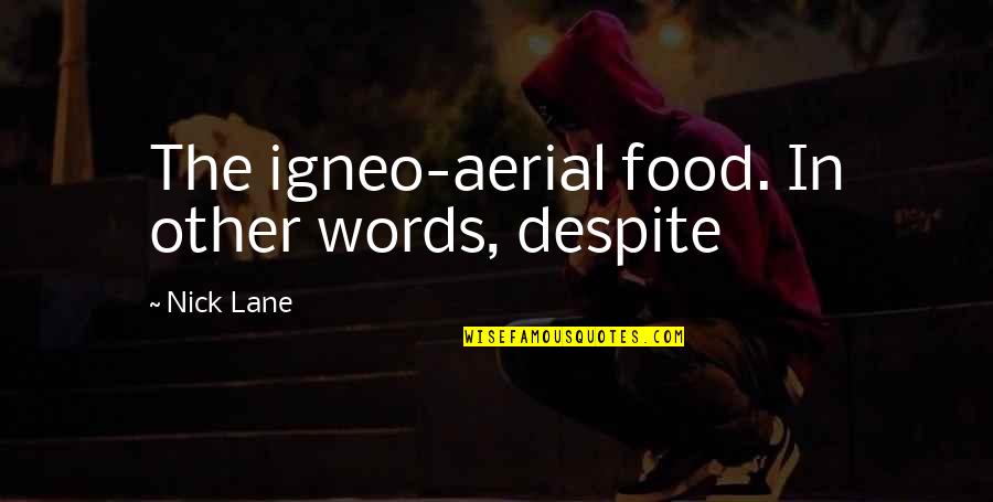 Don't Talk Crap Quotes By Nick Lane: The igneo-aerial food. In other words, despite