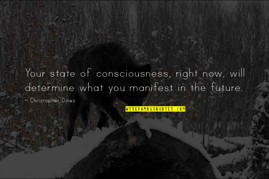 Don't Talk To Me Because Your Bored Quotes By Christopher Dines: Your state of consciousness, right now, will determine