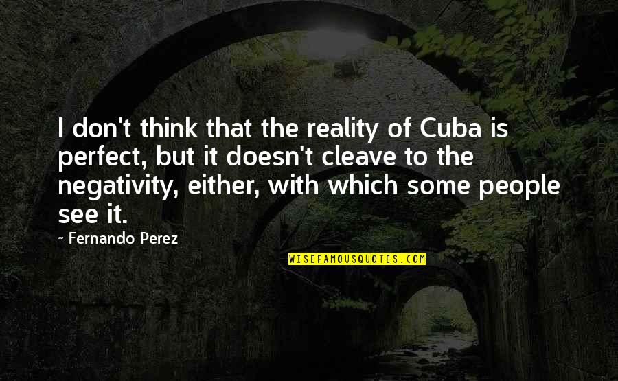 Don't Think You Are Perfect Quotes By Fernando Perez: I don't think that the reality of Cuba