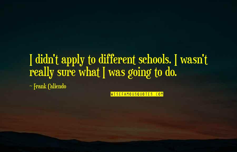 Dont Touch My Drum Set Quotes By Frank Caliendo: I didn't apply to different schools. I wasn't