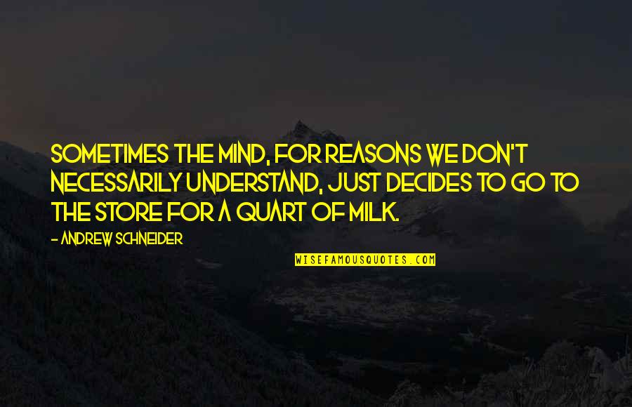 Don't Understand Quotes By Andrew Schneider: Sometimes the mind, for reasons we don't necessarily