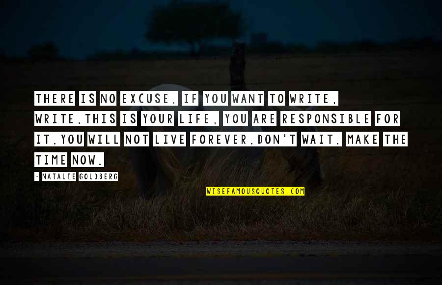 Don't Wait Forever Quotes By Natalie Goldberg: There is no excuse. If you want to