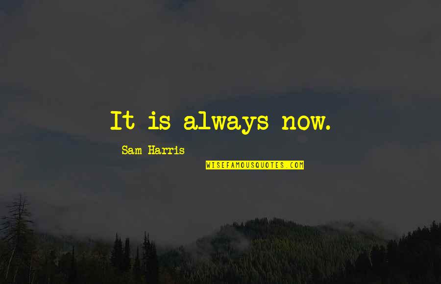 Don't Wait Til It's Too Late Quotes By Sam Harris: It is always now.