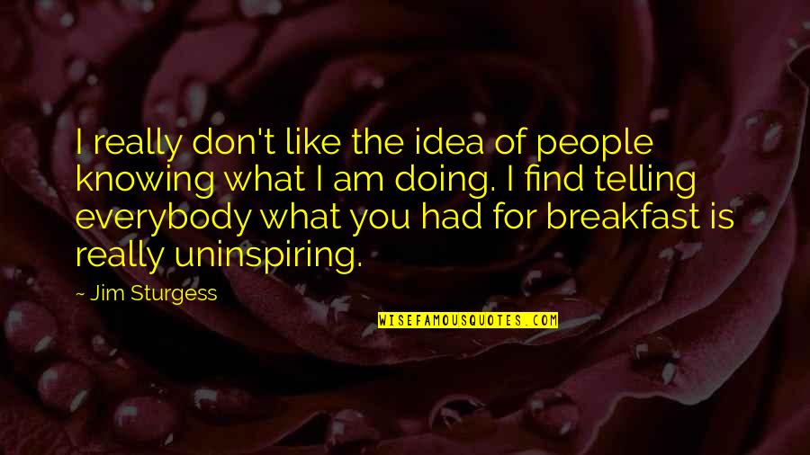 Don't Wanna Be Here Quotes By Jim Sturgess: I really don't like the idea of people