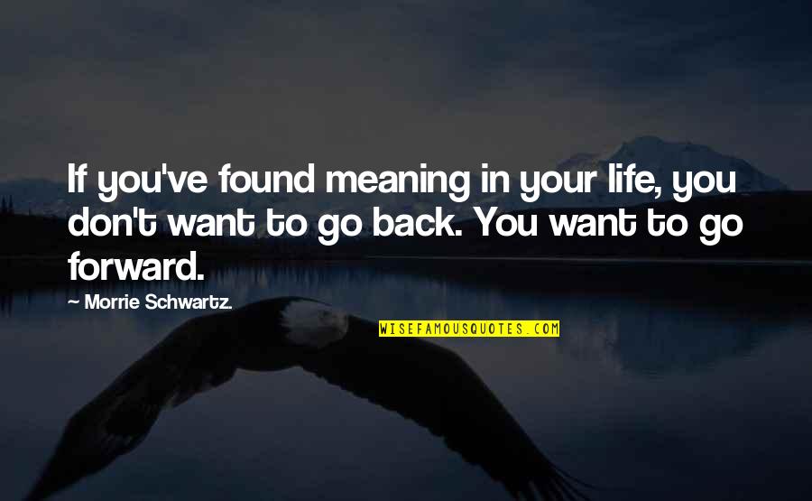 Don't Want You Back Quotes By Morrie Schwartz.: If you've found meaning in your life, you