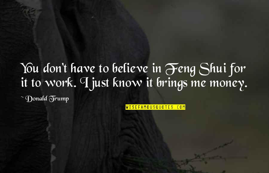 Don't Work For Money Quotes By Donald Trump: You don't have to believe in Feng Shui