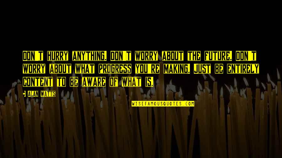 Don't Worry About Anything Quotes By Alan Watts: Don't hurry anything. Don't worry about the future.