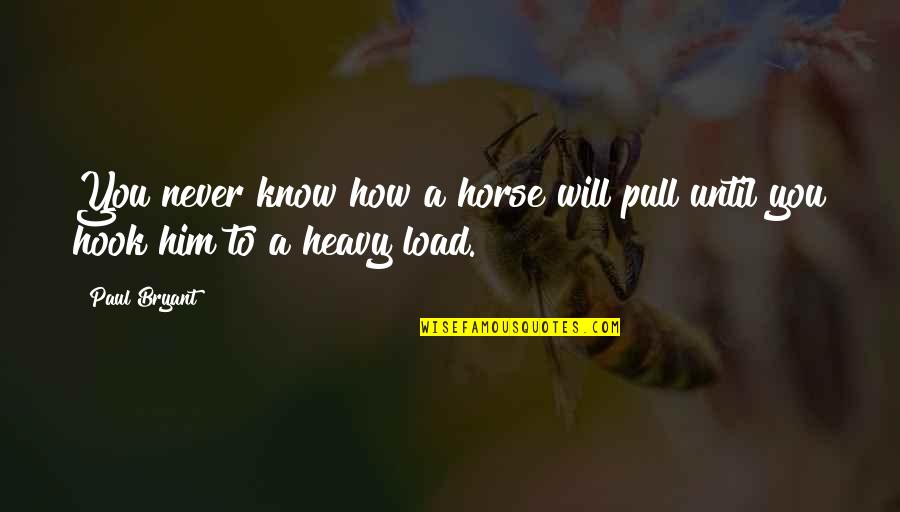 Don't Worry About Yesterday Quotes By Paul Bryant: You never know how a horse will pull