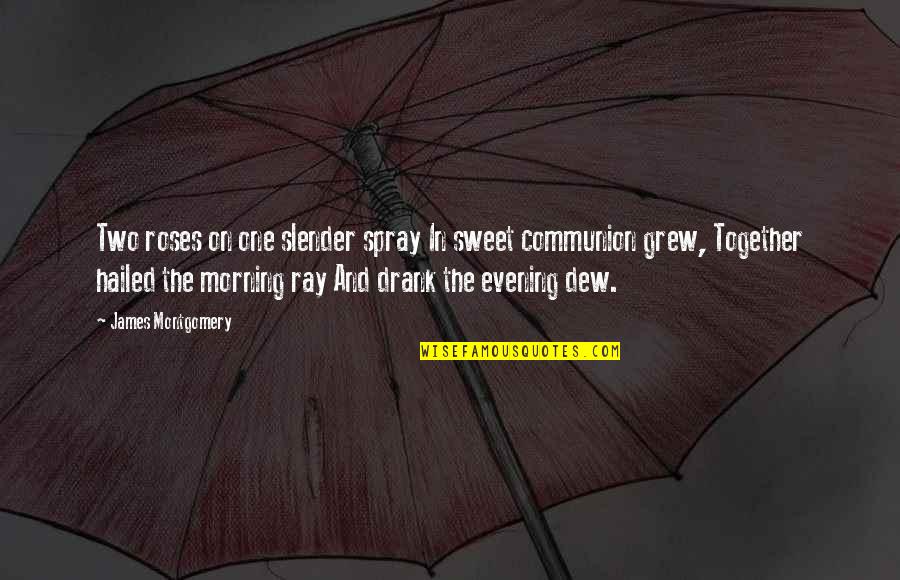 Dooky Quotes By James Montgomery: Two roses on one slender spray In sweet