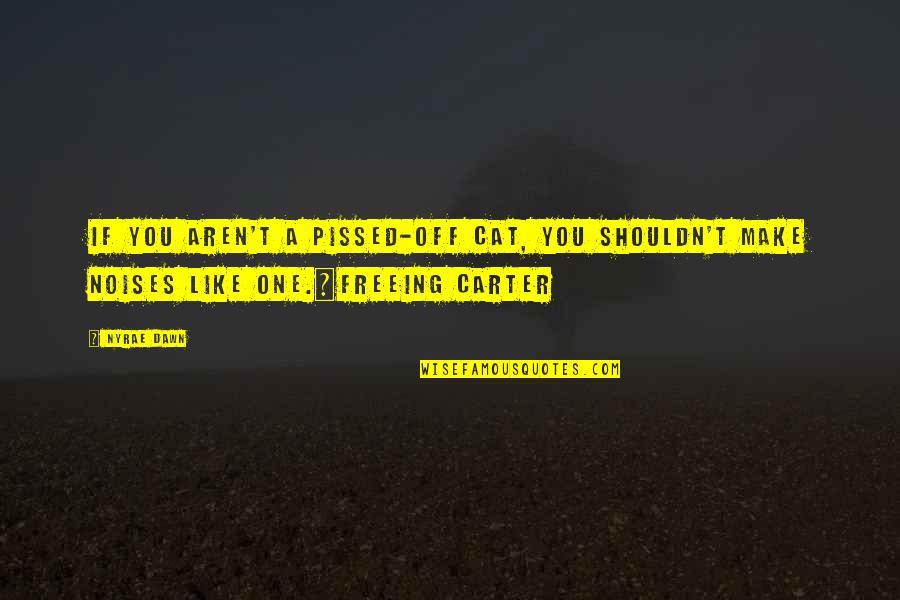 Dooky Quotes By Nyrae Dawn: If you aren't a pissed-off cat, you shouldn't