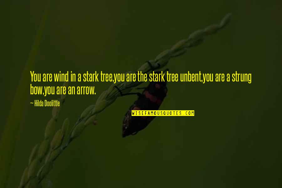 Doolittle's Quotes By Hilda Doolittle: You are wind in a stark tree,you are