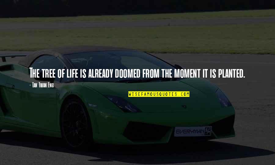 Doomed Life Quotes By Tan Twan Eng: The tree of life is already doomed from