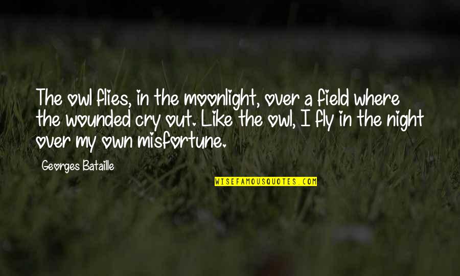 Door Hanging Quotes By Georges Bataille: The owl flies, in the moonlight, over a
