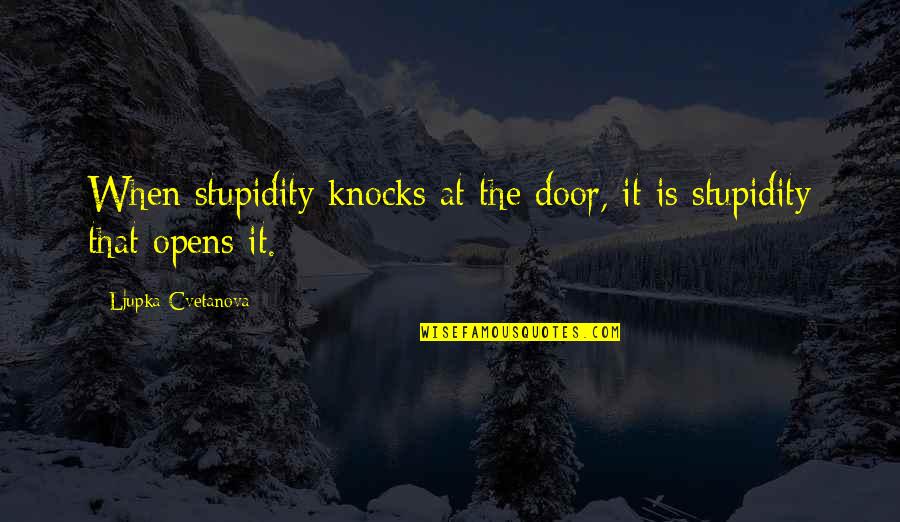 Door Opens Quotes By Ljupka Cvetanova: When stupidity knocks at the door, it is