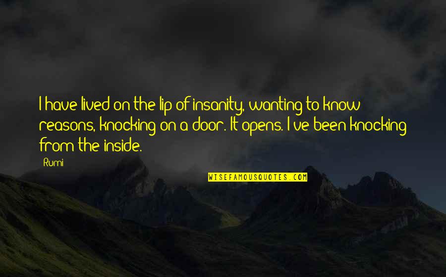 Door Opens Quotes By Rumi: I have lived on the lip of insanity,