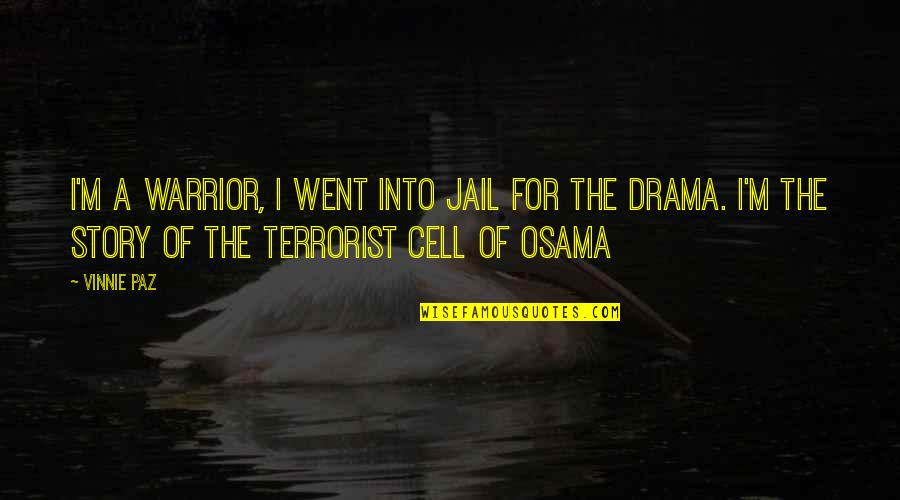 Doorbell Transformer Quotes By Vinnie Paz: I'm a warrior, I went into jail for Doorbell Transformer Quotes By Vinnie Paz: I'm a warrior, I went into jail for