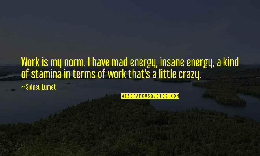 Doormats With Funny Quotes By Sidney Lumet: Work is my norm. I have mad energy,