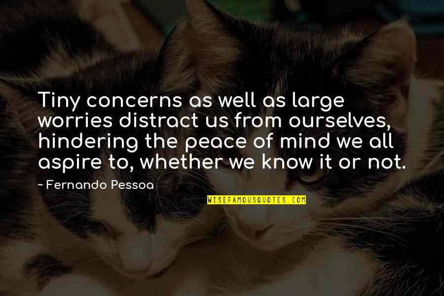 Dooryard San Antonio Quotes By Fernando Pessoa: Tiny concerns as well as large worries distract
