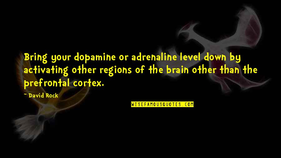 Dopamine Brain Quotes By David Rock: Bring your dopamine or adrenaline level down by