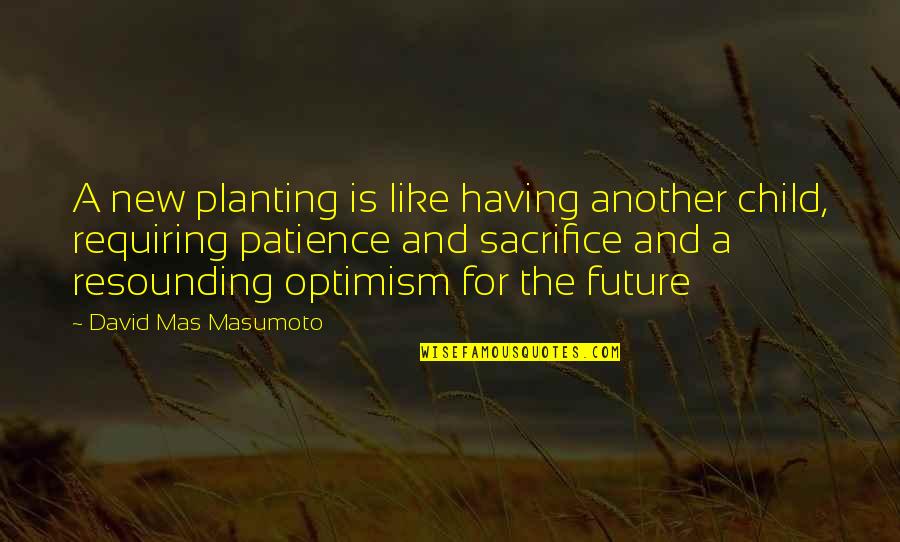 Dopaminergic Pathways Quotes By David Mas Masumoto: A new planting is like having another child,