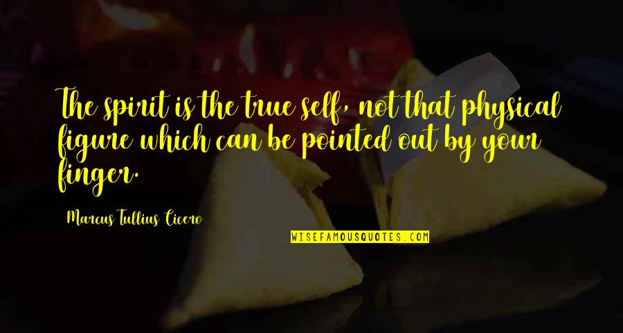 Dope Fiend Quotes By Marcus Tullius Cicero: The spirit is the true self, not that