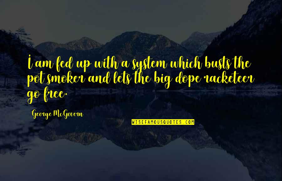 Dope Smoker Quotes By George McGovern: I am fed up with a system which