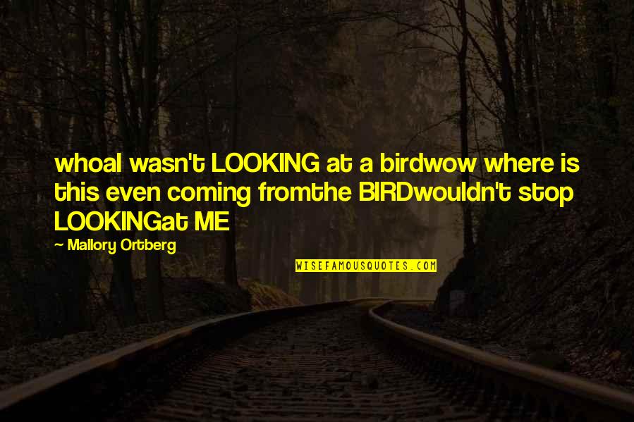 Dopest Dad Quotes By Mallory Ortberg: whoaI wasn't LOOKING at a birdwow where is