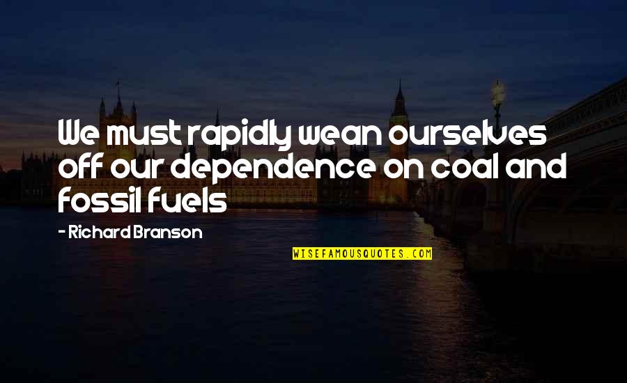 Dopita Kuchyne Quotes By Richard Branson: We must rapidly wean ourselves off our dependence