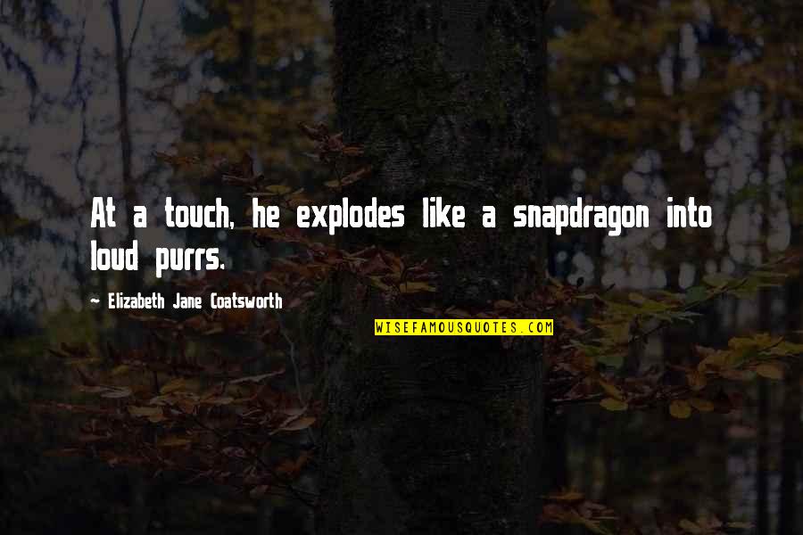 Dorfl's Quotes By Elizabeth Jane Coatsworth: At a touch, he explodes like a snapdragon
