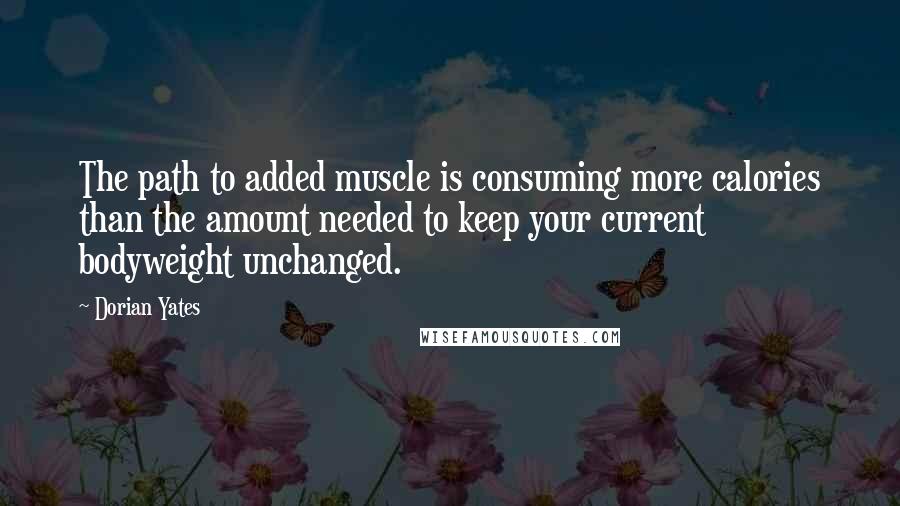 Dorian Yates quotes: The path to added muscle is consuming more calories than the amount needed to keep your current bodyweight unchanged. Dorian Yates quotes: The path to added muscle is consuming more calories than the amount needed to keep your current bodyweight unchanged.