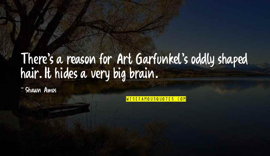 Dorianne Spivak Quotes By Shawn Amos: There's a reason for Art Garfunkel's oddly shaped