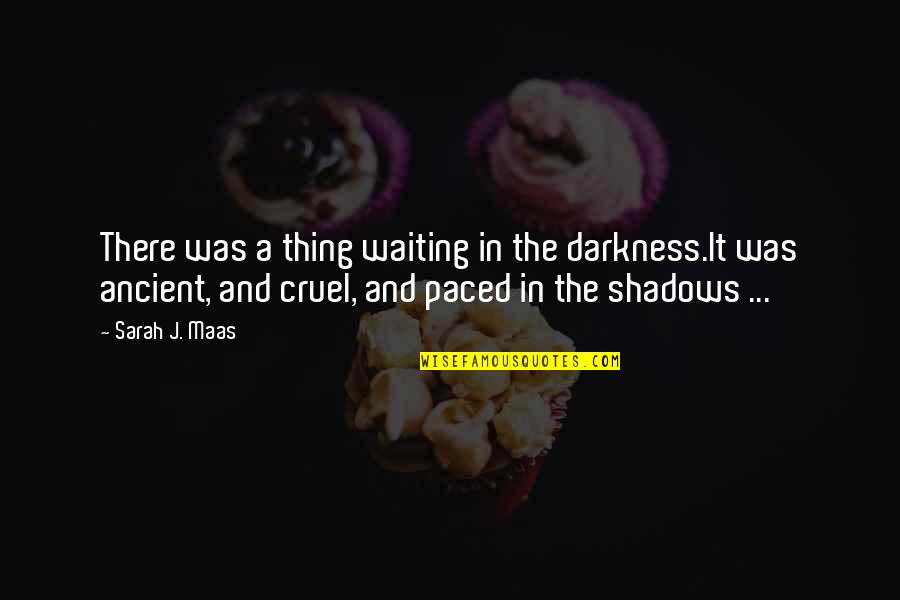 Dorian's Quotes By Sarah J. Maas: There was a thing waiting in the darkness.It
