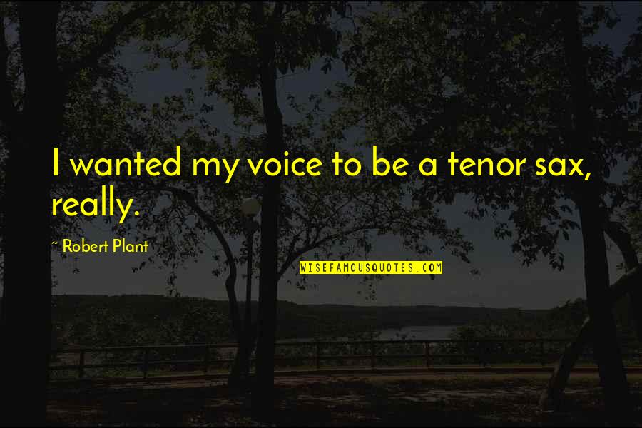 Dorinel Munteanu Quotes By Robert Plant: I wanted my voice to be a tenor