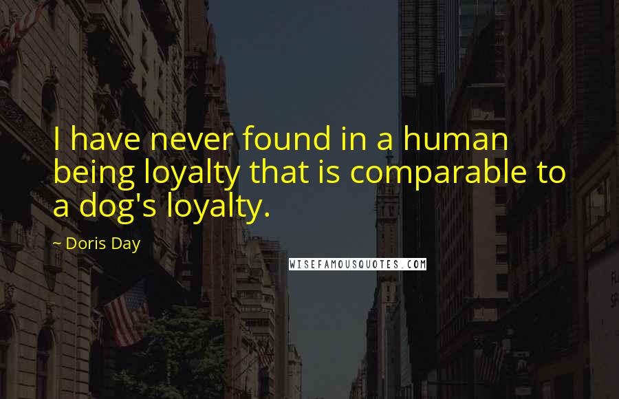 Doris Day quotes: I have never found in a human being loyalty that is comparable to a dog's loyalty.