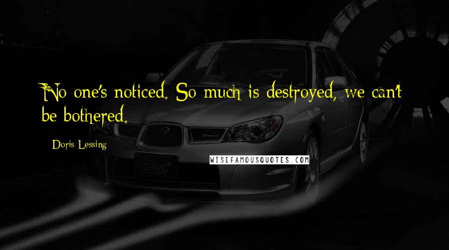 Doris Lessing quotes: No one's noticed. So much is destroyed, we can't be bothered.