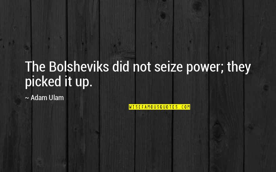 Dorland Mountain Quotes By Adam Ulam: The Bolsheviks did not seize power; they picked