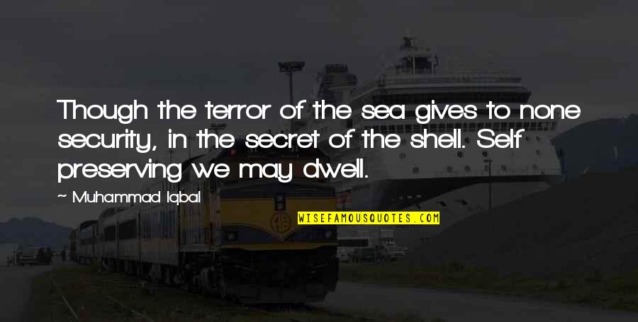 Dormimos Morfoclimaticos Quotes By Muhammad Iqbal: Though the terror of the sea gives to