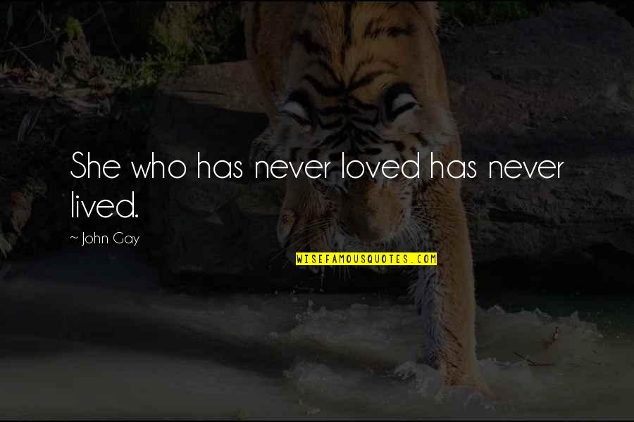 Dormouse Team Quotes By John Gay: She who has never loved has never lived. Dormouse Team Quotes By John Gay: She who has never loved has never lived.