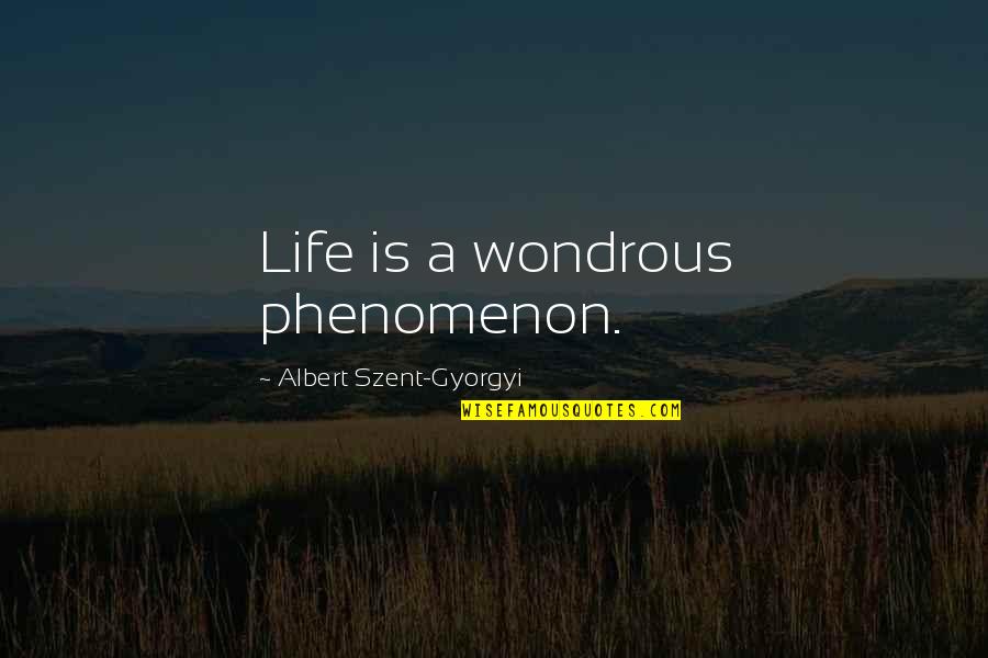 Dorning Kubota Quotes By Albert Szent-Gyorgyi: Life is a wondrous phenomenon. Dorning Kubota Quotes By Albert Szent-Gyorgyi: Life is a wondrous phenomenon.