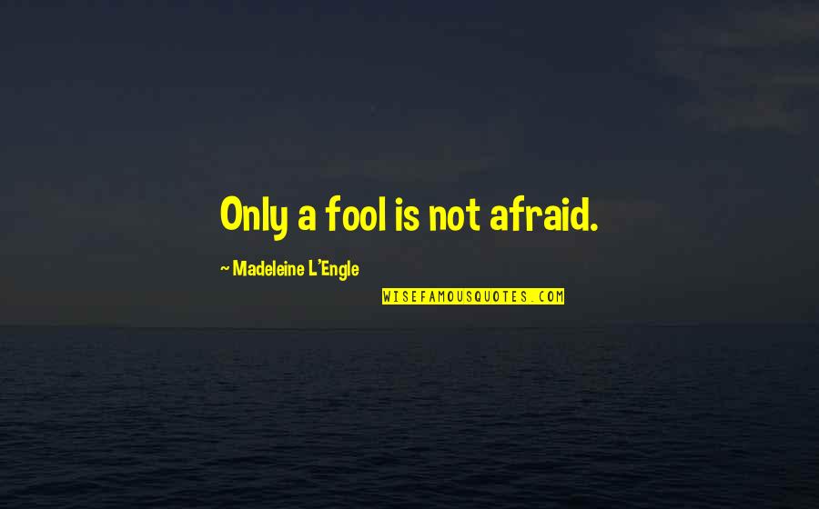 Dorning Kubota Quotes By Madeleine L'Engle: Only a fool is not afraid. Dorning Kubota Quotes By Madeleine L'Engle: Only a fool is not afraid.
