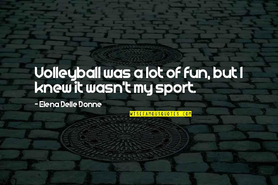 Doroshow Larry Quotes By Elena Delle Donne: Volleyball was a lot of fun, but I