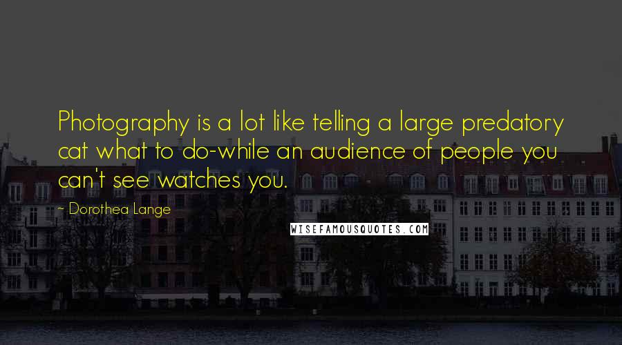 Dorothea Lange quotes: Photography is a lot like telling a large predatory cat what to do-while an audience of people you can't see watches you.