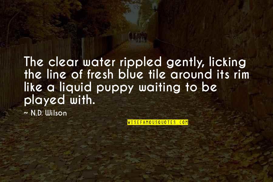 Dorothea Lange Quotes By N.D. Wilson: The clear water rippled gently, licking the line Dorothea Lange Quotes By N.D. Wilson: The clear water rippled gently, licking the line