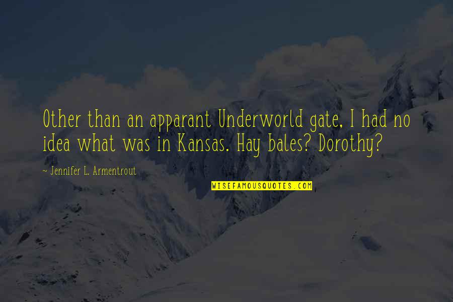 Dorothy And Kansas Quotes By Jennifer L. Armentrout: Other than an apparant Underworld gate, I had