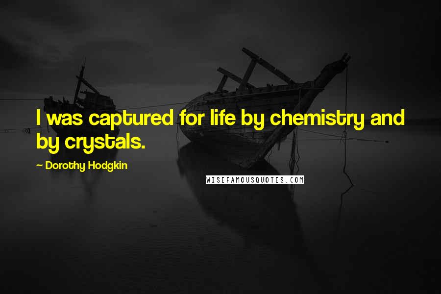 Dorothy Hodgkin quotes: I was captured for life by chemistry and by crystals.
