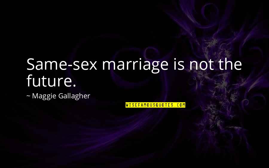 Dorothy Strickland Quotes By Maggie Gallagher: Same-sex marriage is not the future.